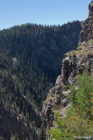 Cumbres and Toltec Scenic Railroad Steam Engine 489 Toltec Gorge